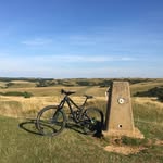 Will Phipps - @willphipps79 - Instagram