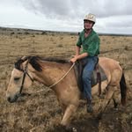 Will Phipps - @wgphipps - Instagram