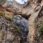 William Phipps - @will_phipps_406 - Instagram
