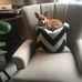 Will Pilkington - Facebook