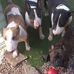 William Pilkington - @william.pilkington - Instagram