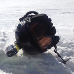 Will Poole - @will.poole - Instagram