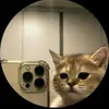 Will Post Always - @willpostofficial - TikTok