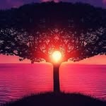 will post most days - @qoutes_about_everything098658 - Instagram