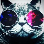 will pringle - @pringlewill - Instagram