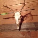 Will Rainwater - @willrainwater8 - Instagram