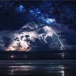 Will Reynolds - @will.reynolds.txnc37x2 - Instagram