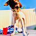William Ridenour - Facebook