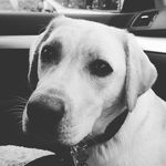 Will Rigby - @nigel_rigby71 - Instagram
