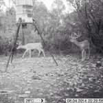 Will Rigby - @pedernales_outdoors - Instagram