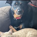 Will Riley - @will_riley._ - Instagram