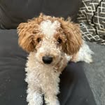 Will Riley - @will_riley__ - Instagram
