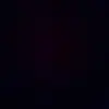 willriley - @willriley - TikTok