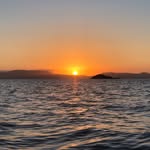 Will Roach - @roachie1297 - Instagram