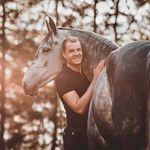 Will Rogers Horses - @will.rogers.horses - Instagram