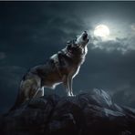 Will Rojas - Facebook