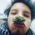 Nahuel Torres - @will_roots4.20 - Instagram