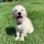 Will Rothman - @willroth02 - Instagram