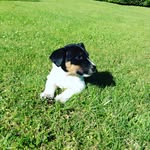 Will - @will.rouse - Instagram
