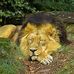 Will Rubenstein - Facebook