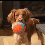 Will Sadler - @wpsadler79 - Instagram