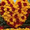 Willy Saint - @willy.saint0 - TikTok
