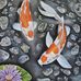 Willy Salmon - Facebook