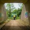 willSarsfield - @willsarsfield - TikTok