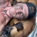 Will Schick - Facebook