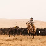 Will Shaffer - @will.shaffer.100 - Instagram