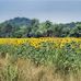 Will Skelton Greenway - Facebook