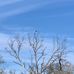 Will Skelton Greenway (Ijams Park) - Facebook
