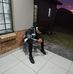 Will Lim Solomons - Facebook