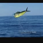 Will Stafford - @stafford8786 - Instagram