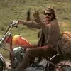 Will Stafford - @thezenarcade1969 - TikTok