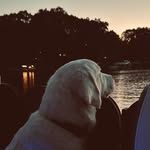 Will Stafford - @will_stafford77 - Instagram