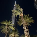 @willstafforddd - Instagram