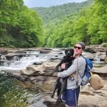 Will Stout - @willcstout - Instagram