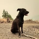 Will Stovall - @stovall336 - Instagram
