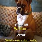 William Streit - Facebook