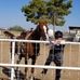 William Stringfellow - Facebook