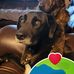 William Stringfellow - Facebook