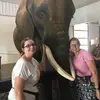 Karla Swafford Willm - @karlaswaffordwill - TikTok
