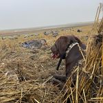 Will Swanson - @will.w.swanson - Instagram