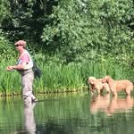 Field Sports Services - @willtempler - Instagram