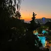 will Temple - @will.temple - TikTok