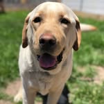 Will Templeton - @will_templeton11 - Instagram