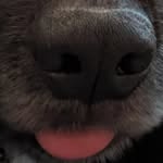 Will Thurston - @a_confusedpotato - Instagram