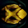 William Thurston - @william.thurston - TikTok