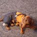 Will Tobin - Facebook